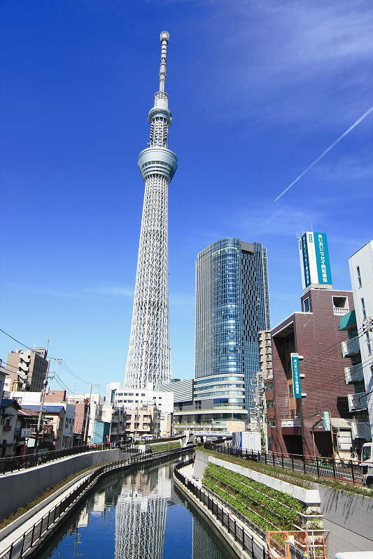 「晴空塔」的圖片搜尋結果