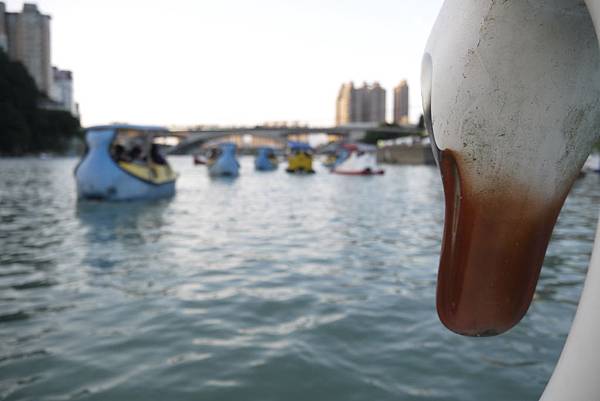 _1020952.JPG _1020952.JPG