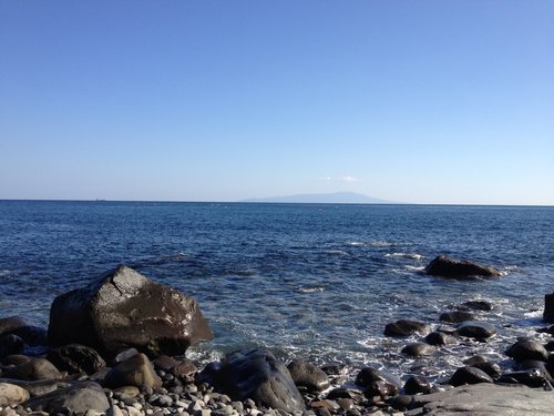 日本富戶的鯨豚療癒〈一〉