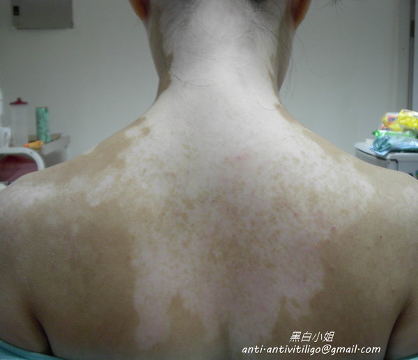 20061117.png 20061117.png