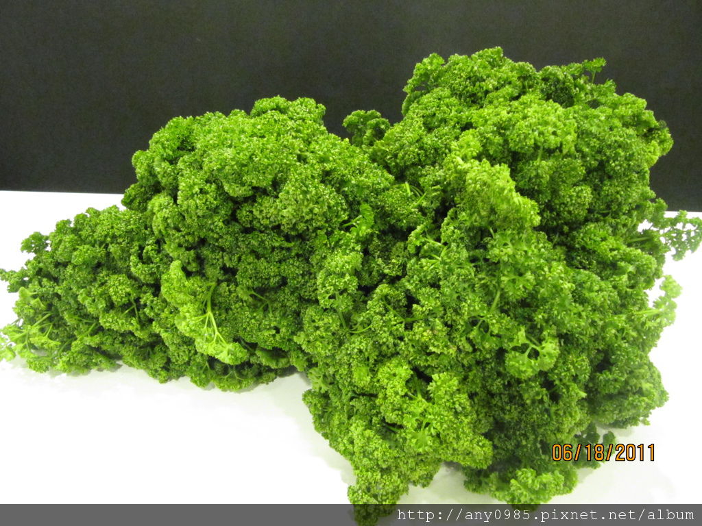 IMG_2336.JPG IMG_2336.JPG