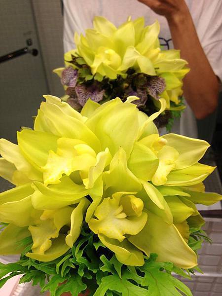 541083_4686848052381_847266431_n 541083_4686848052381_847266431_n