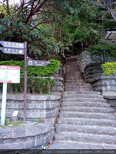 DSC_0312.jpg DSC_0312.jpg