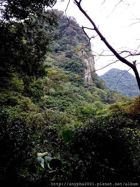 DSC_0316.jpg DSC_0316.jpg