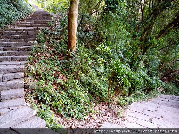 DSC_0317.jpg DSC_0317.jpg