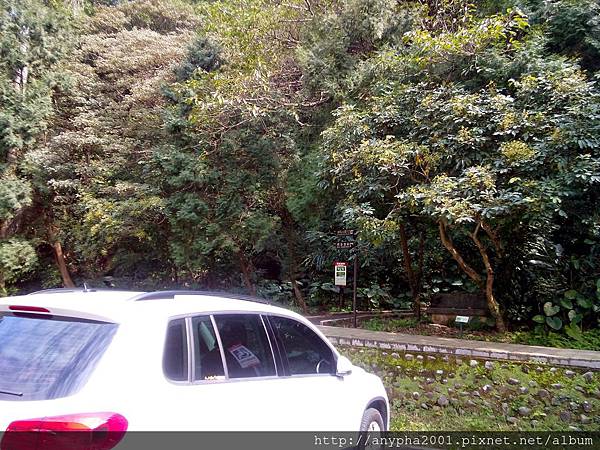 DSC_0038.jpg DSC_0038.jpg