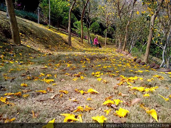 DSC_0282.jpg DSC_0282.jpg