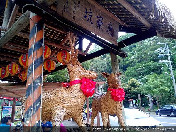 DSC_0558.jpg DSC_0558.jpg