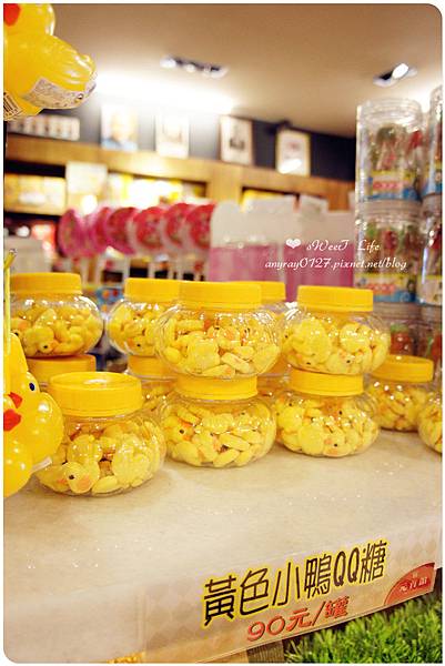 南投-大黑松小倆口元首館 (3).JPG 南投-大黑松小倆口元首館 (3).JPG