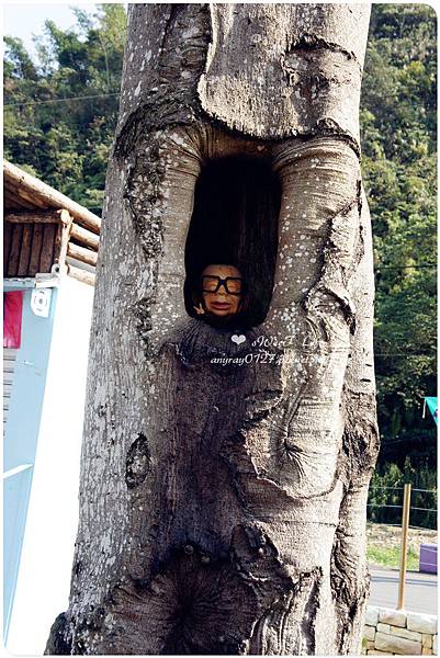 南投-大黑松小倆口元首館 (8).JPG 南投-大黑松小倆口元首館 (8).JPG