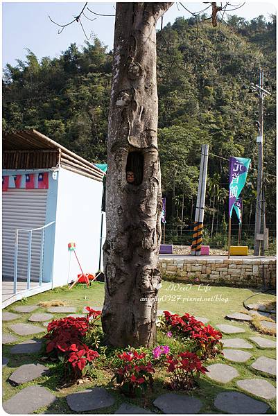 南投-大黑松小倆口元首館 (9).JPG 南投-大黑松小倆口元首館 (9).JPG