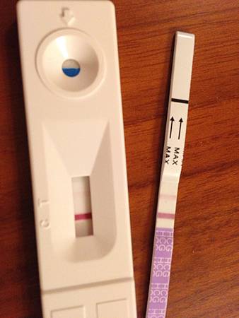 20130224 淺淺的是我存在的證明呦~