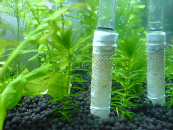 口罩做的過濾器...怕小蝦米也被吸進去 口罩做的過濾器...怕小蝦米也被吸進去