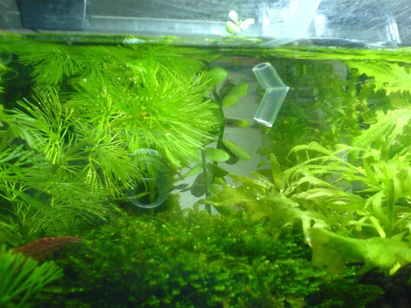 水吸得很快 水吸得很快