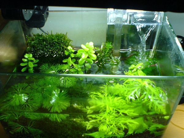 這樣也滿美的 這樣也滿美的