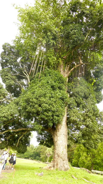 P1020015.jpg