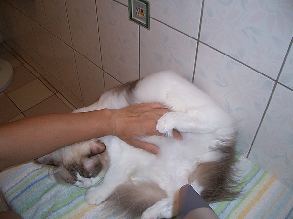 CIMG0001.JPG CIMG0001.JPG