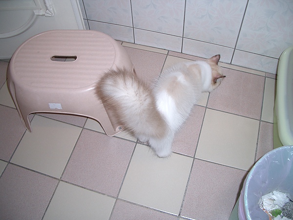 CIMG0026.JPG CIMG0026.JPG
