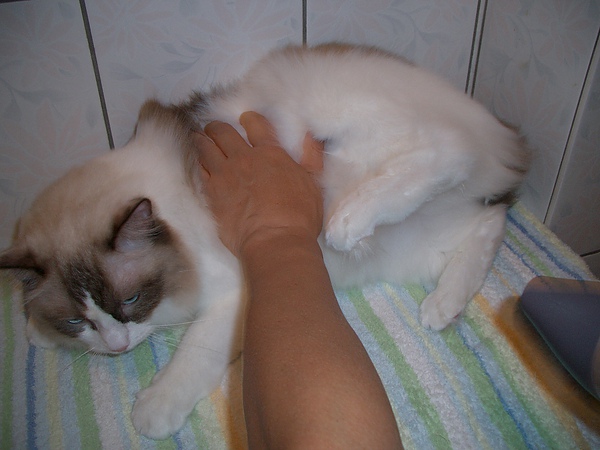 CIMG0006.JPG CIMG0006.JPG