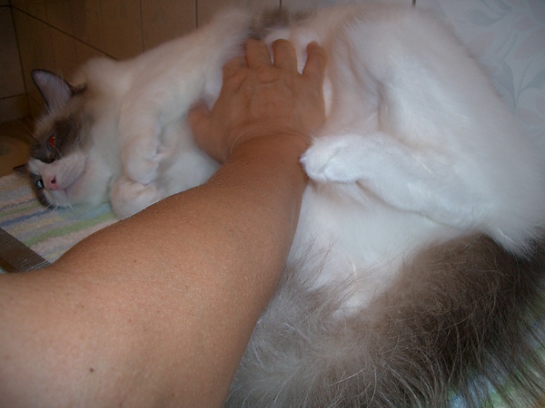 CIMG0013.JPG CIMG0013.JPG
