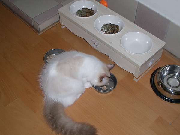 CIMG0038.JPG CIMG0038.JPG