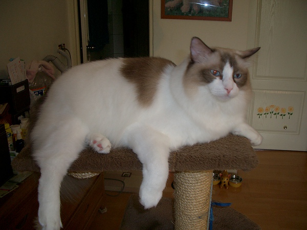 CIMG0025.JPG CIMG0025.JPG
