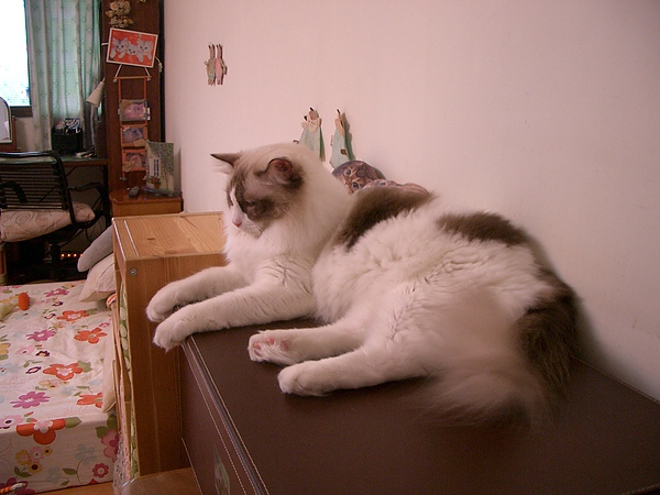 CIMG0042.JPG CIMG0042.JPG