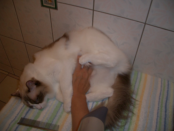 CIMG0008.JPG CIMG0008.JPG