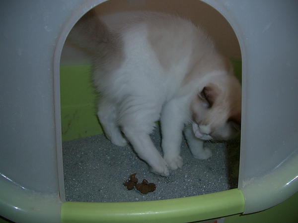 CIMG0022.JPG CIMG0022.JPG