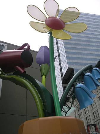 IMGP0253.JPG IMGP0253.JPG