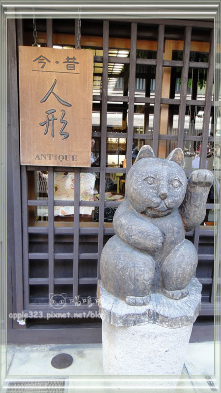 DSC05054.jpg
