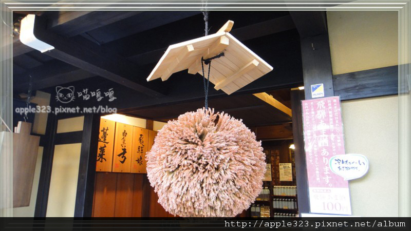 DSC05089.jpg