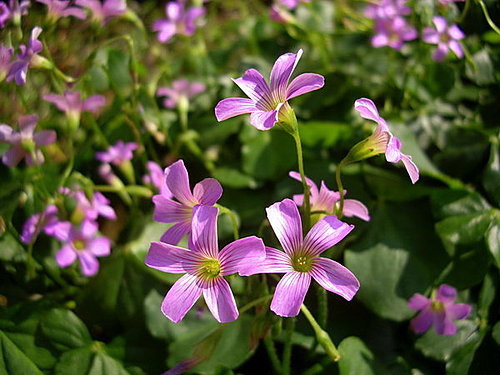 eOMlS0cCiCkn0_t31Ua6UQ.jpg eOMlS0cCiCkn0_t31Ua6UQ.jpg