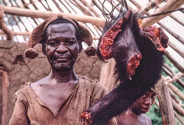 近来,伊波拉病毒爆发引起各界关注,据传果蝠是伊波拉的原宿主,人类