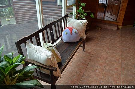 DSC_0980 DSC_0980