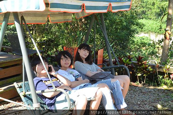 DSC_1145 DSC_1145