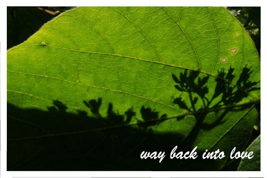 way back into love01.jpg