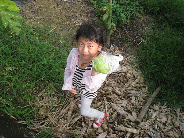 IMG_5155.JPG IMG_5155.JPG