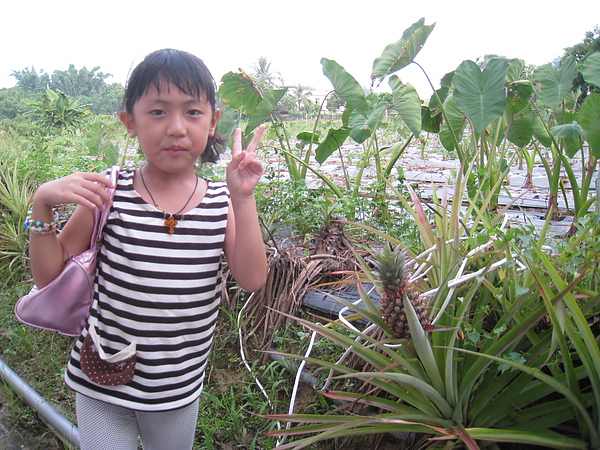 IMG_5165.JPG IMG_5165.JPG