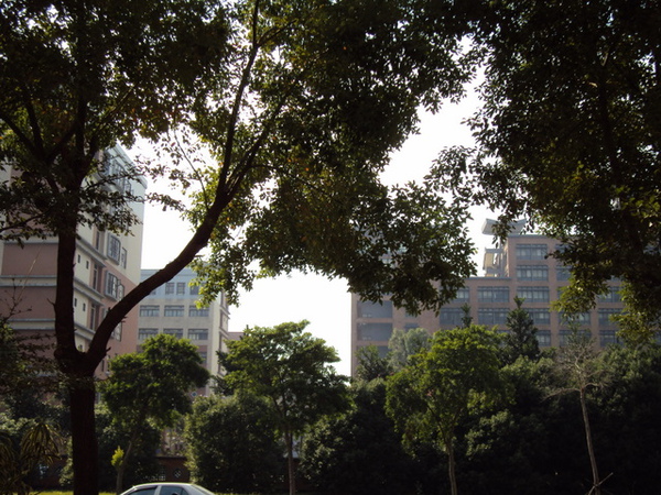 DSC00648.JPG DSC00648.JPG