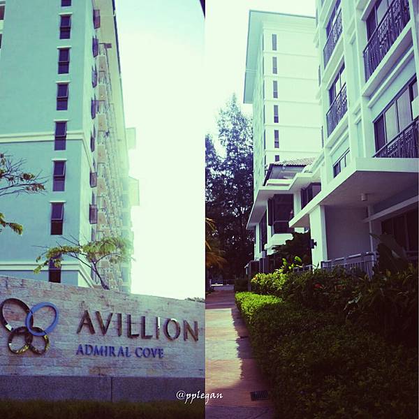 PhotoGrid_1404831060438 PhotoGrid_1404831060438