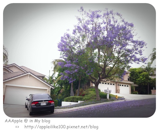 20130604,30 20130604,30