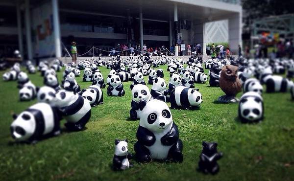 1454232_950851848264693_1466696066_n