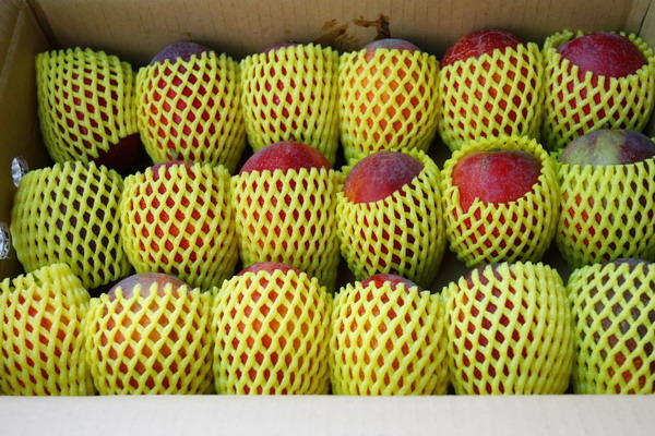 _MG_8112.jpg _MG_8112.jpg