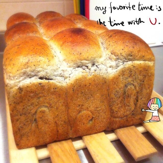 1383351_3522232272380_201740807_n