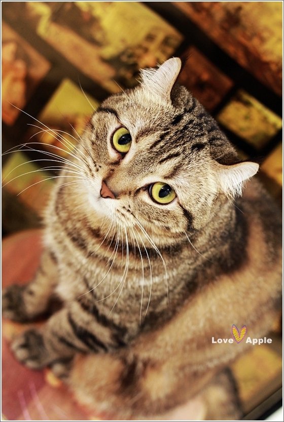 LFMCvl9Cjq7zCZkQo4mcXQ