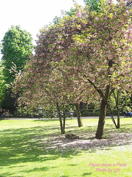 100_5072.JPG 100_5072.JPG