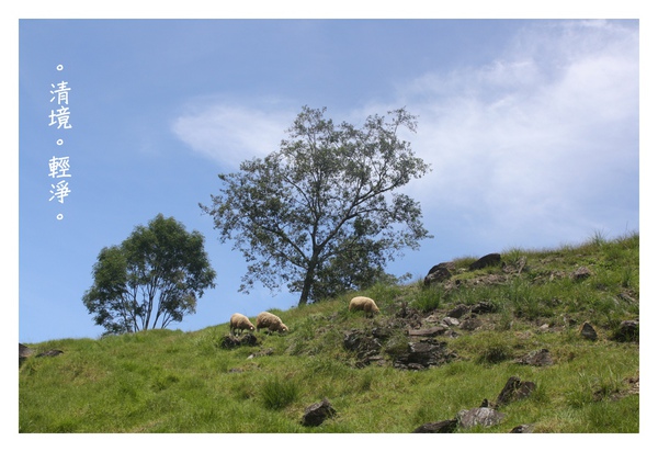 990826清境-139.JPG