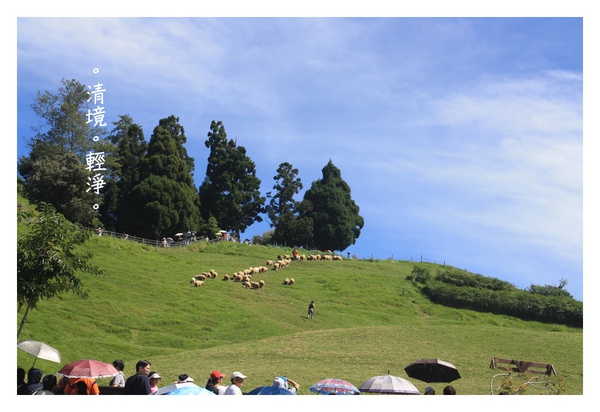 990826清境-123.JPG