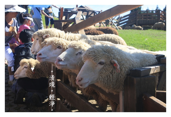990826清境-118.JPG